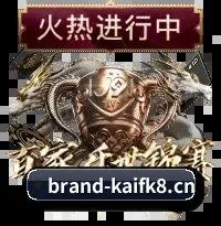动态阵型还原 - 打破传统文字战报与交互式可视化图表的边界，让每一位普通球迷都能拥有职业球探般的数据分析武器。